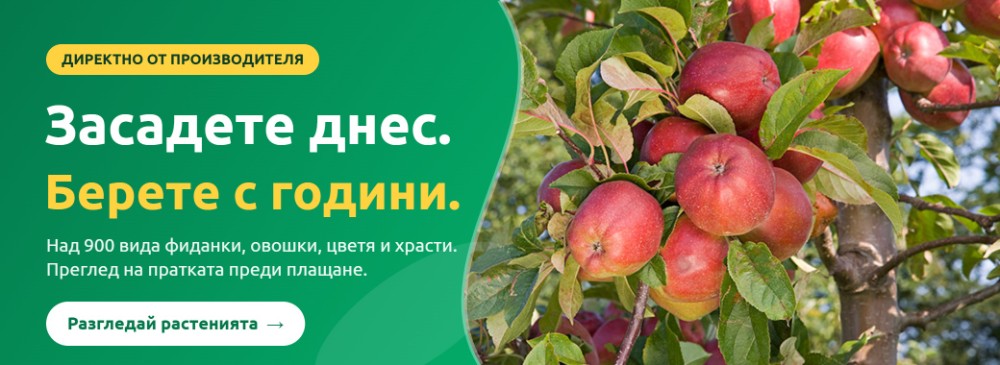 Засадете днес