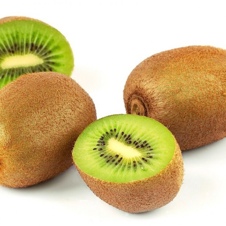 Киви (Actinidia )